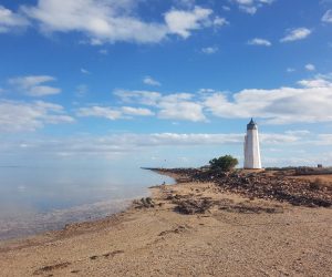 lighthousejettytonowhere