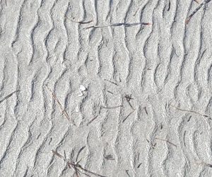 patternsinthesand2