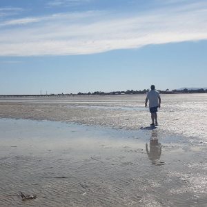 walkingthebeachatlowtide