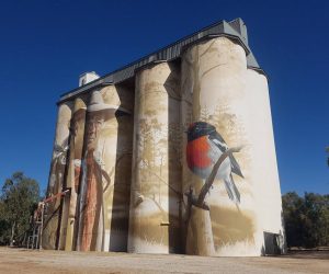 Wirrabarra Silo Art